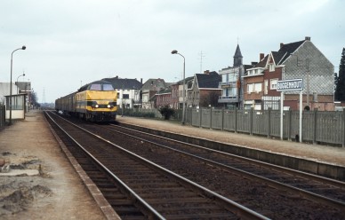 Buggenhout - TH 81-576.jpg